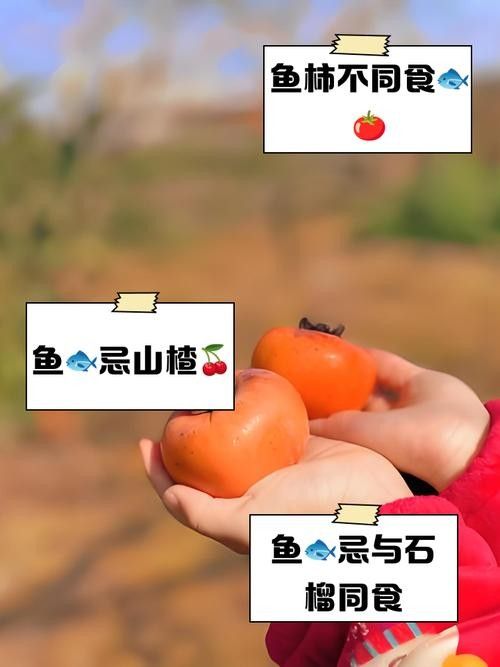 叢臺金龍魚最忌三種水果