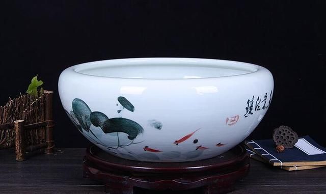 大魚缸里養什么魚好看（熱帶魚的養殖技巧）