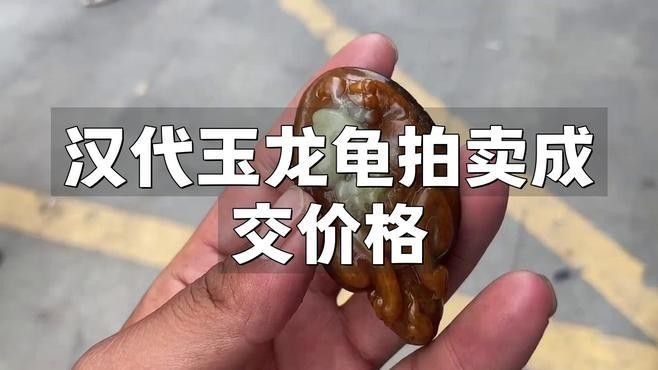 玉質(zhì)龍龜?shù)膬r(jià)格范圍 玉質(zhì)龍龜?shù)膬r(jià)格范圍 龍魚百科 第5張