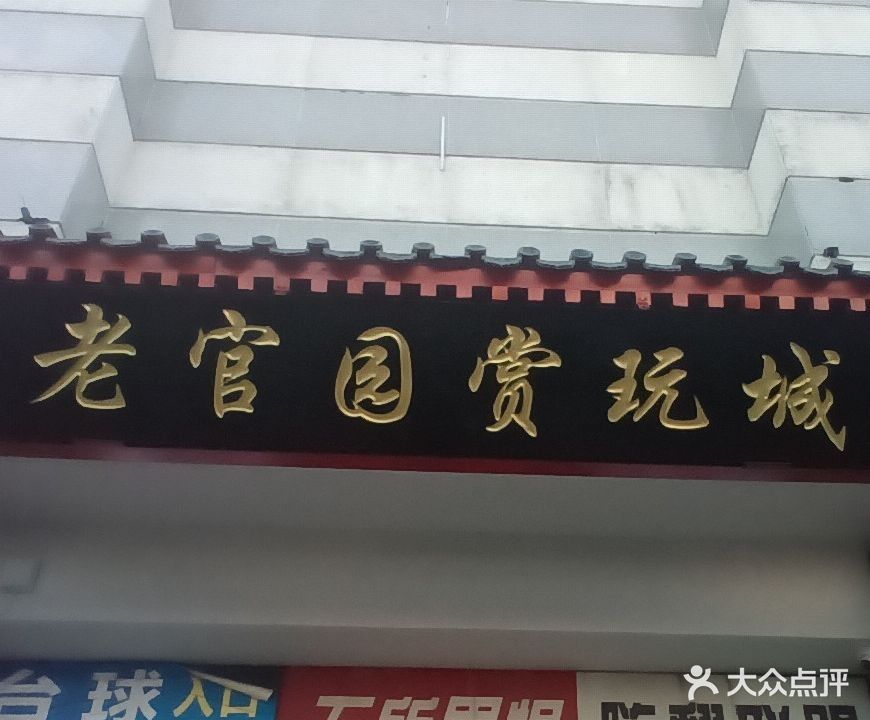 星子哪個水族館龍魚好？祥龍魚場龍魚