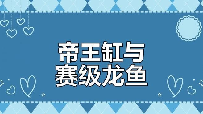 有哪些品牌的大型龍魚缸推薦？