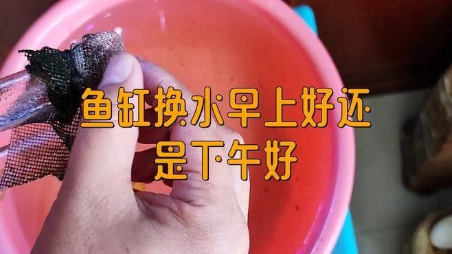 恢復期需要多久換水？