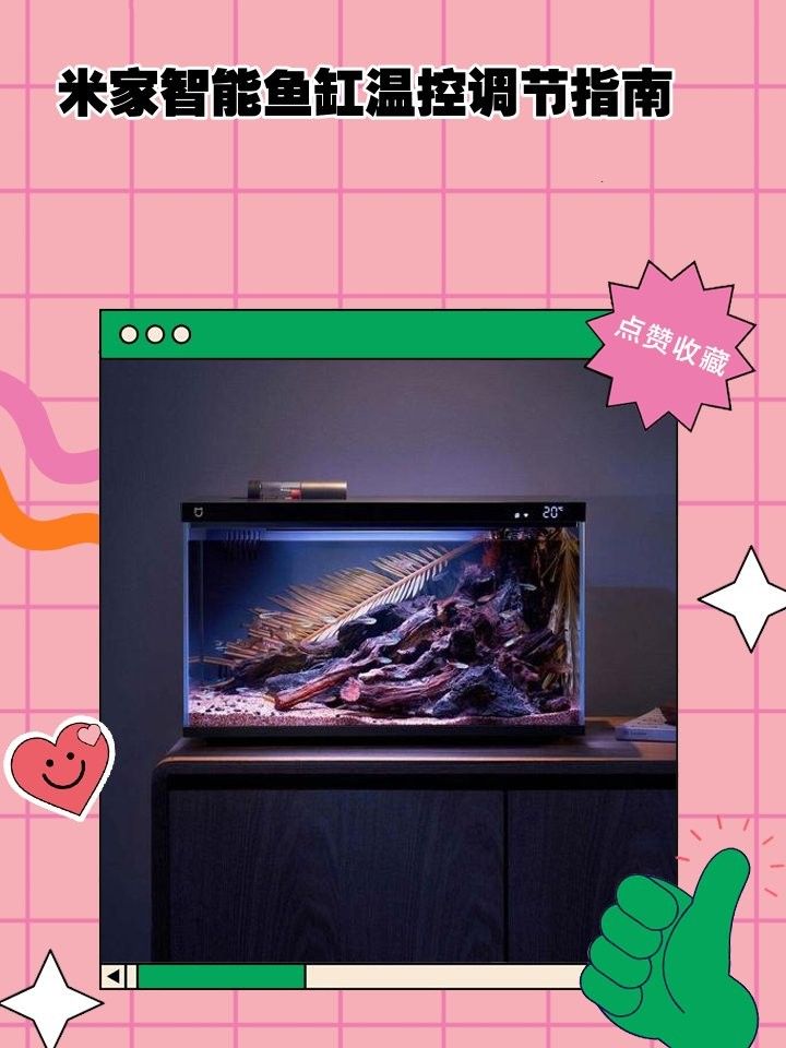 匯龍魚缸溫控器有哪些型號（匯龍溫控器型號詳解）