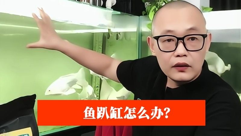 金龍魚趴缸底需要多久才能恢復(fù)