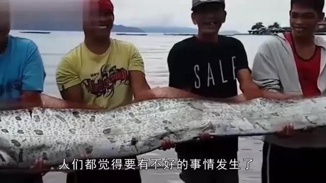 龍王魚(yú)俗稱什么魚(yú)（臺(tái)灣一男子海釣罕見(jiàn)收獲“怪魚(yú)”6米長(zhǎng)260斤重）