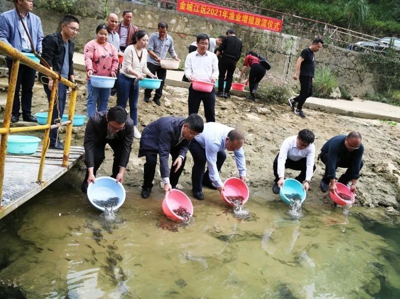 金城江龍江河都有哪些魚(yú) 金城江龍江河都有哪些魚(yú) 觀賞魚(yú)百科 第7張