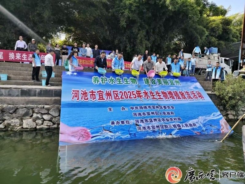 金城江龍江河都有哪些魚(yú) 金城江龍江河都有哪些魚(yú) 觀賞魚(yú)百科 第6張