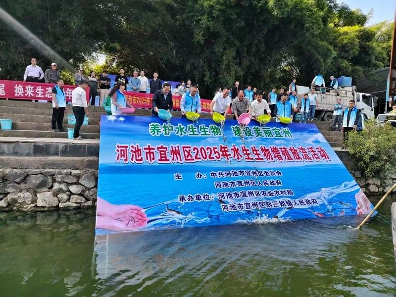 金城江龍江河都有哪些魚(yú) 金城江龍江河都有哪些魚(yú) 觀賞魚(yú)百科 第4張