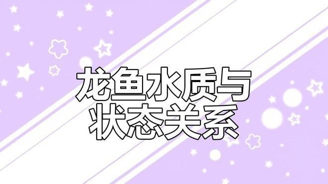 如何科學(xué)調(diào)整龍魚水質(zhì)？