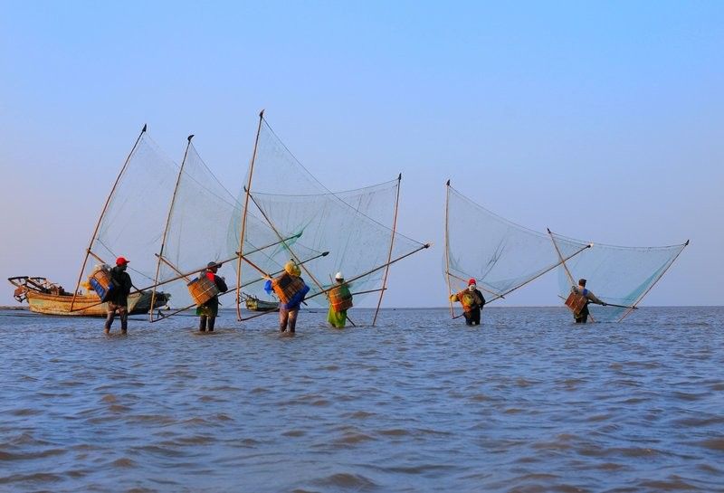 如東龍魚（如東龍魚的飼養(yǎng)技巧）