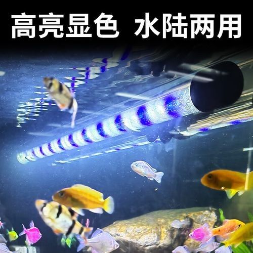森森變色LED燈的用戶評價如何 森森變色LED燈的用戶評價如何 龍魚百科 第1張
