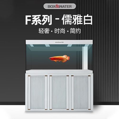 博特龍魚缸有哪些顏色可選？（博特大型水族箱免換水珊瑚缸仿生態觀賞魚）