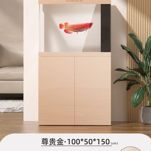 博特龍魚缸有哪些顏色可選？（博特大型水族箱免換水珊瑚缸仿生態觀賞魚）