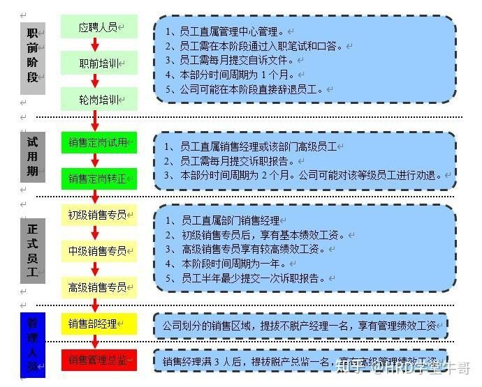 金龍魚大區經理的晉升路徑（金龍魚大區經理的晉升路徑是一個涉及多個階段和步驟的過程）