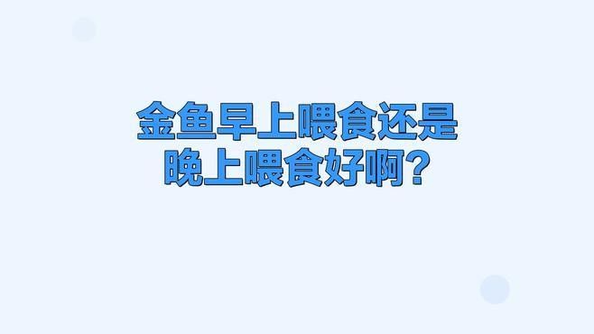 金龍魚多久吃一次小金魚合適 金龍魚多久吃一次小金魚合適 龍魚百科 第1張