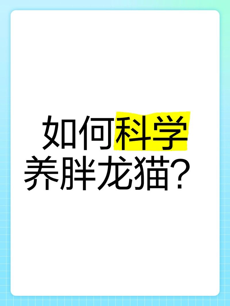 如何監(jiān)測龍貓的體重變化？（如何監(jiān)測龍貓的體重）