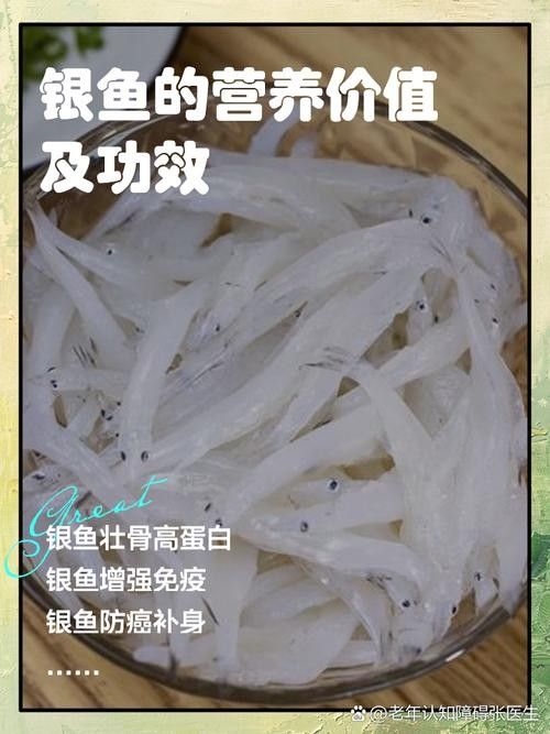 白子銀版魚最忌三種東西 白子銀版魚最忌三種東西 觀賞魚百科 第5張