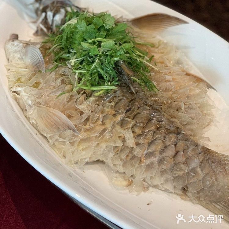 吉隆坡那里有忘不了魚（吉隆坡的忘不了魚）
