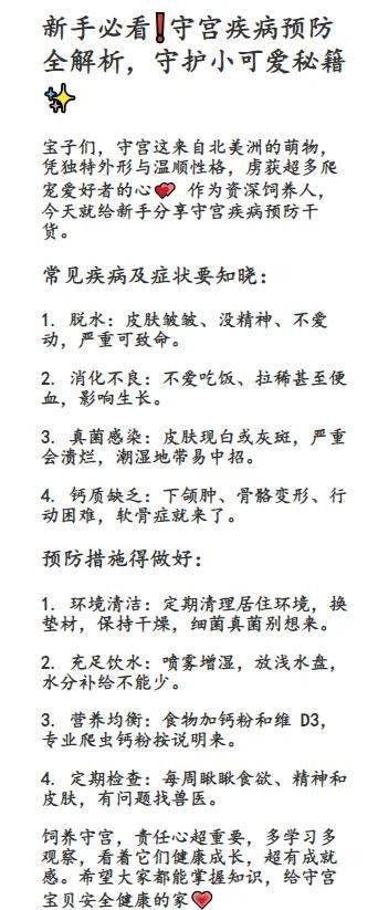 面包蟲多久喂一次合適？（守宮喂食頻率全攻略賽博社會觀察站面包蟲喂食頻率全攻略）