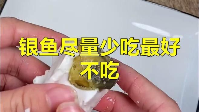 粗線銀版魚最忌三種食物（小銀魚不能和什么食物一起吃） 粗線銀版魚最忌三種食物（小銀魚不能和什么食物一起吃） 觀賞魚百科 第2張
