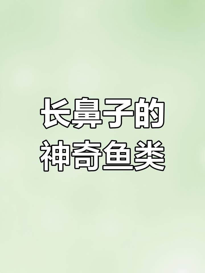 象鼻魚的種類（紐斯提亞上最高檔的海鮮之一象鼻魚的市場價格是多少）