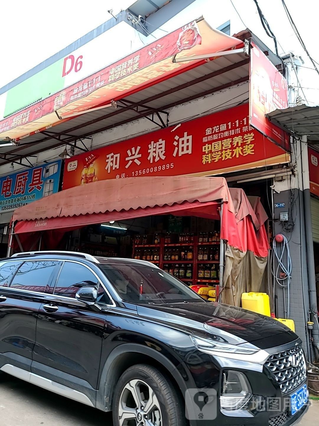 金龍魚在廣州有哪些門店 龍魚百科 第6張 金龍魚在廣州有哪些門店 金龍魚在廣州有哪些門店 龍魚百科 第6張