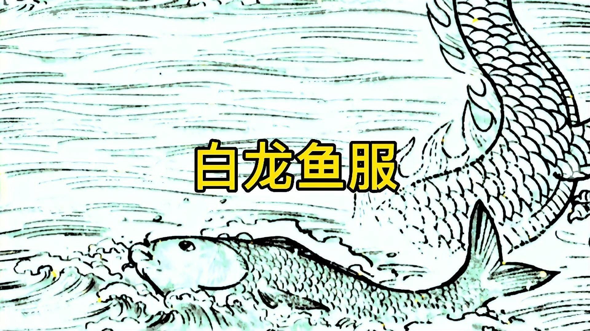 白龍魚服典故的詳細故事（“白龍魚服”的由來） 白龍魚服典故的詳細故事（“白龍魚服”的由來） 龍魚百科 第2張