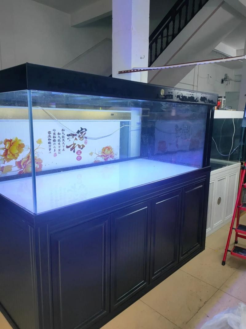 彩蝶魚缸有哪些型號（常見的彩蝶魚缸型號） 彩蝶魚缸有哪些型號（常見的彩蝶魚缸型號） 龍魚百科 第3張