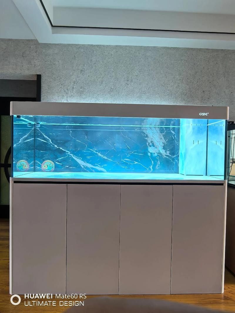 彩蝶魚缸有哪些型號（常見的彩蝶魚缸型號） 彩蝶魚缸有哪些型號（常見的彩蝶魚缸型號） 龍魚百科 第6張