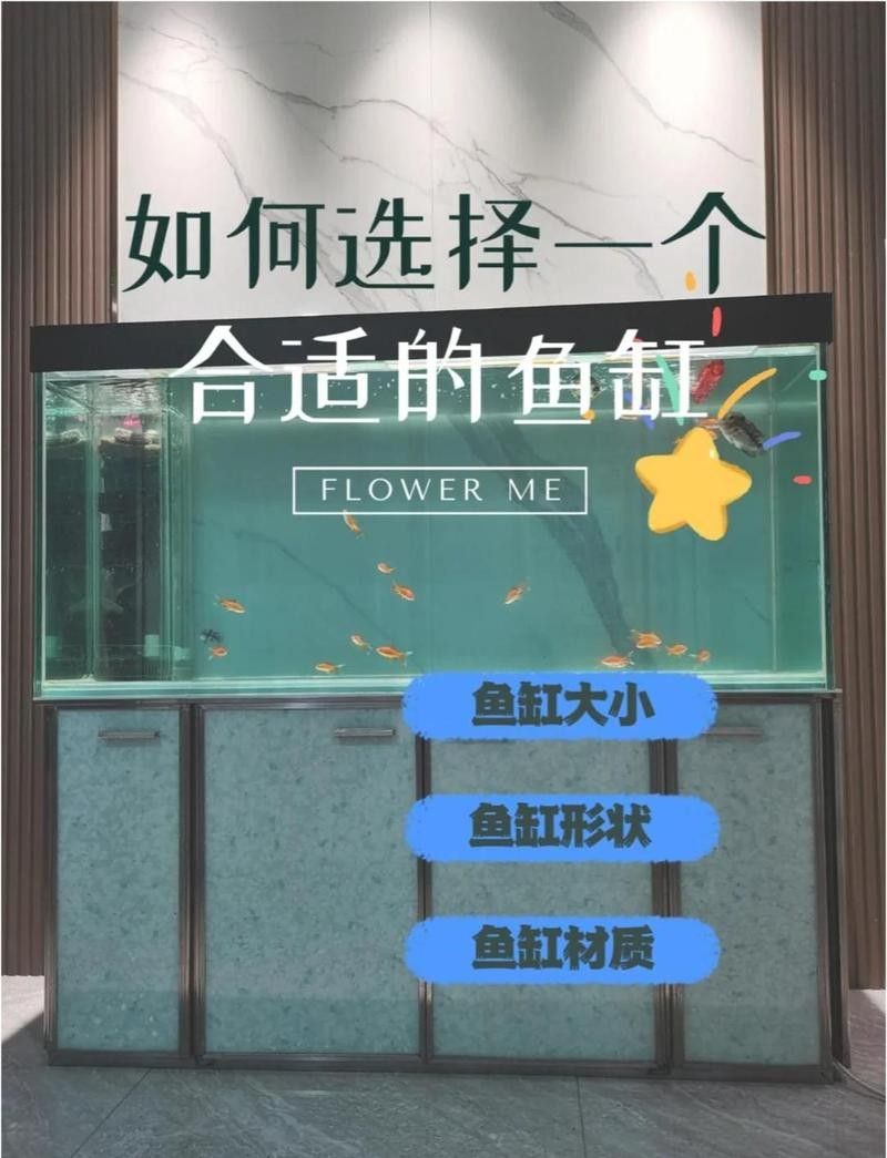 如何選擇適合金龍魚的魚缸材質？（適合金龍魚的魚缸材質）