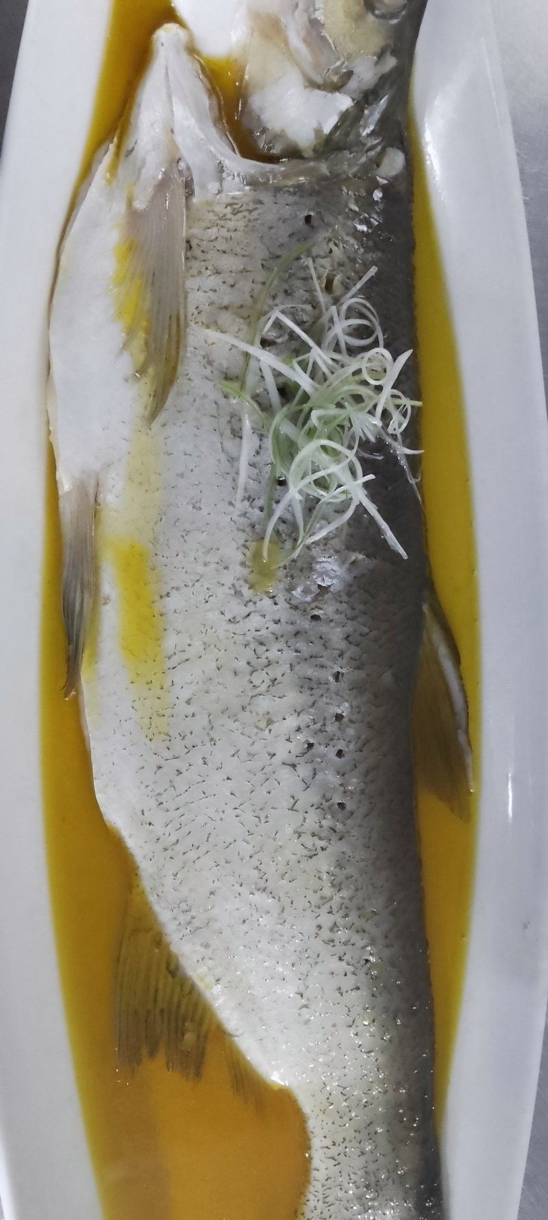 哈爾濱龍魚館哪家口碑最好？（哈爾濱龍魚館哪家口碑好？）