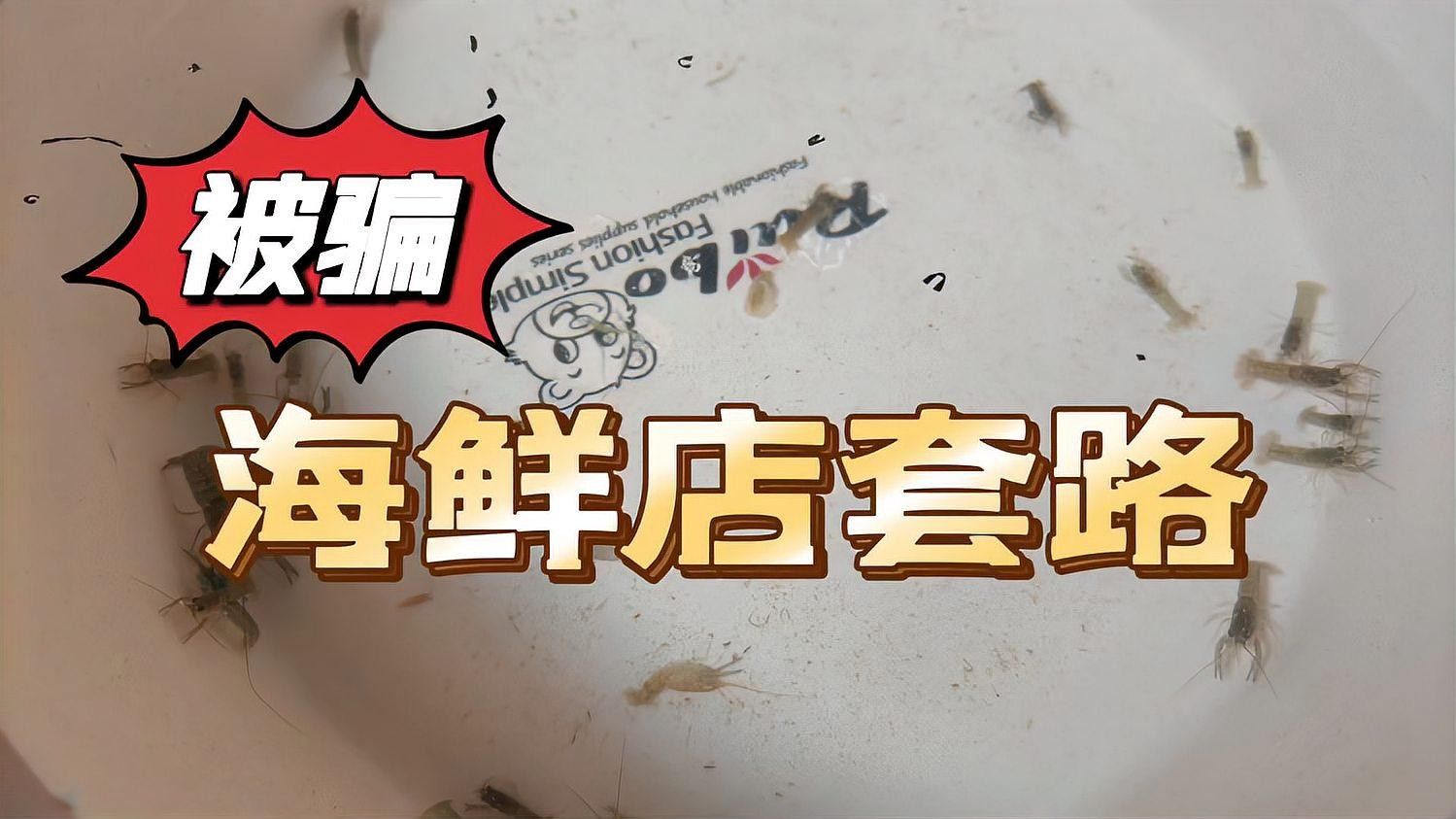 澳龍養(yǎng)殖技術(shù)突破的可能性（澳洲淡水龍蝦（澳洲淡水龍蝦（澳洲淡水龍蝦）養(yǎng)殖技術(shù)突破的可能性）