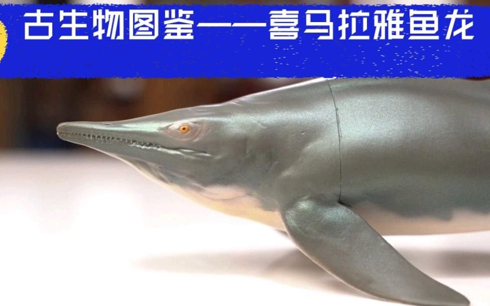 喜馬拉雅魚龍vs霍夫曼滄龍（喜馬拉雅魚龍vs霍夫曼滄龍，）