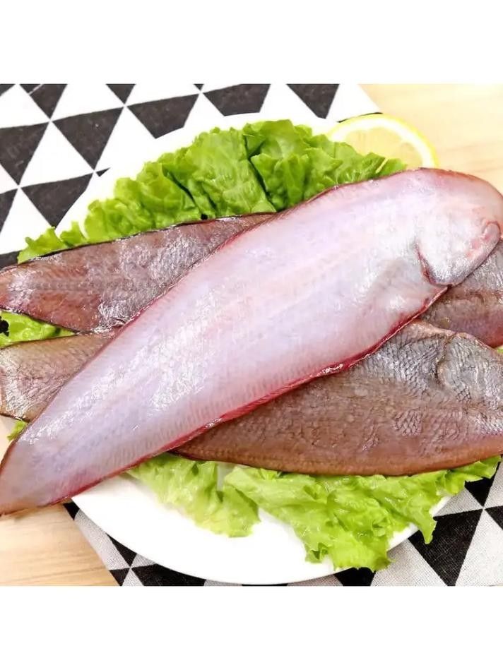 哪里可以找到高清的潮汕龍魚圖片（如何找到高清潮汕龍魚圖片）