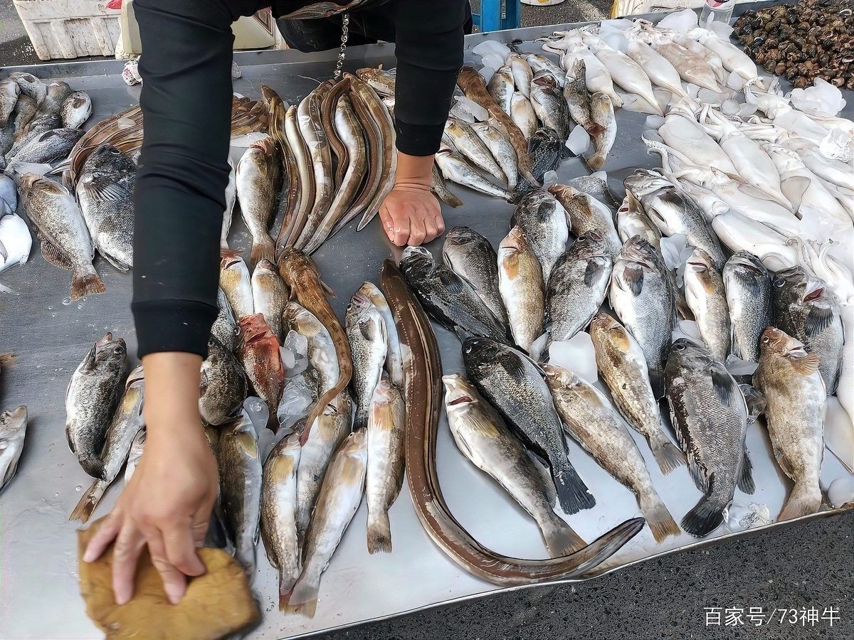 如何區(qū)分不同的海魚種類？（如何區(qū)分不同的海魚品種？）