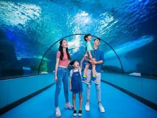 齊河哪個水族館龍魚好？祥龍魚場龍魚（祥龍魚場龍魚價格如何） 齊河哪個水族館龍魚好？祥龍魚場龍魚（祥龍魚場龍魚價格如何） 龍魚百科 第8張