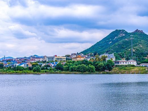 花鳥魚蟲批發市場，廣州花鳥魚蟲市場