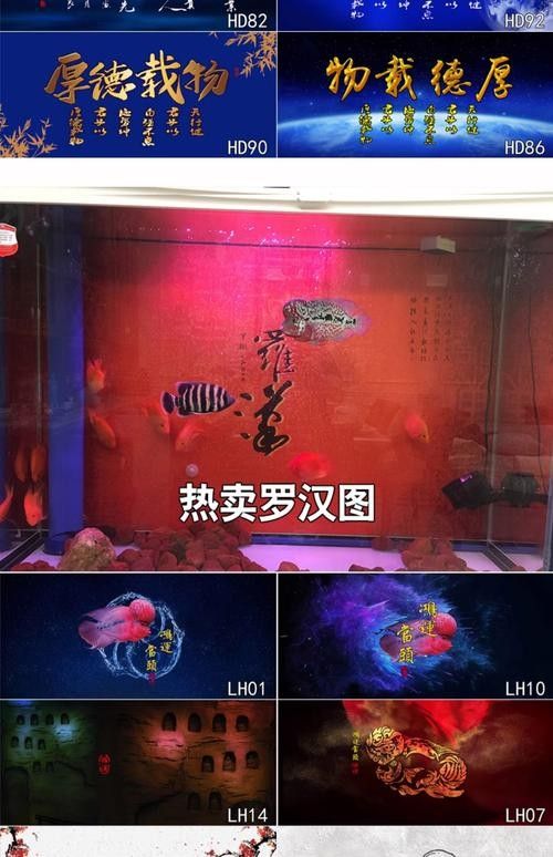 紅龍魚缸背景圖多久換一次（紅龍魚缸背景圖的更換頻率） 紅龍魚缸背景圖多久換一次（紅龍魚缸背景圖的更換頻率） 龍魚百科 第6張