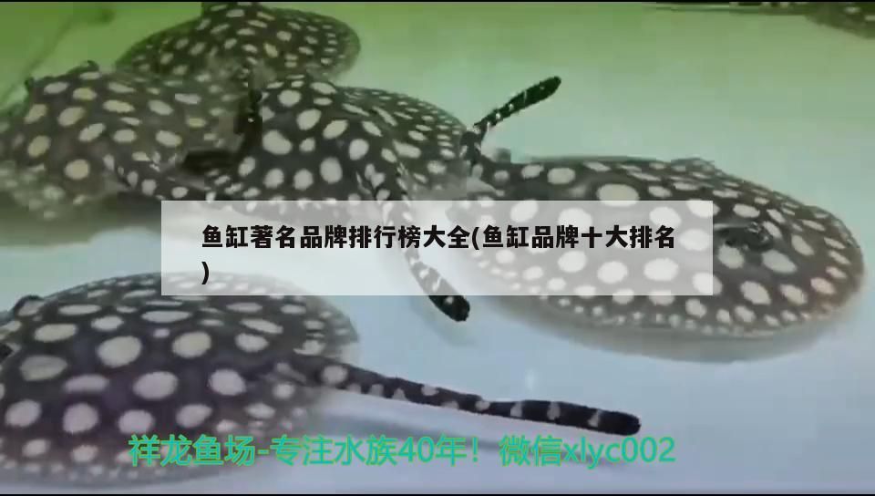 魚缸著名品牌排行榜大全(魚缸品牌十大排名)（2020年度生態(tài)魚缸行業(yè)十大品牌排行榜大全）