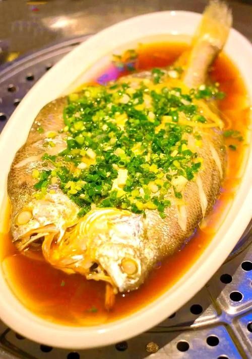 溫州正宗海鮮魚 溫州正宗海鮮魚 觀賞魚百科 第6張