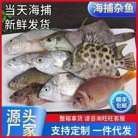 黃鰭鯧魚價格（黃鰭鯧魚價格受多種因素影響，）