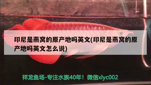 魚缸用增氧泵價格是多少:魚缸增氧機-xtrac增氧機-xtrac增氧機 印尼是燕窩的原產地嗎英文(印尼是燕窩的原產地嗎英文怎么說)(印尼是燕窩的原產地嗎) 觀賞魚百科 印尼是燕窩的原產地嗎英文(印尼是燕窩的原產地嗎英文怎么說)(印尼是燕窩的原產地嗎) 印尼是燕窩的原產地嗎英文(印尼是燕窩的原產地嗎英文怎么說)(印尼是燕窩的原產地嗎) 觀賞魚百科