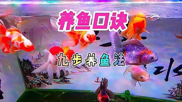 藍(lán)帆三間魚(yú)能吃嗎（關(guān)于藍(lán)帆三間魚(yú)的食用安全性的探討）