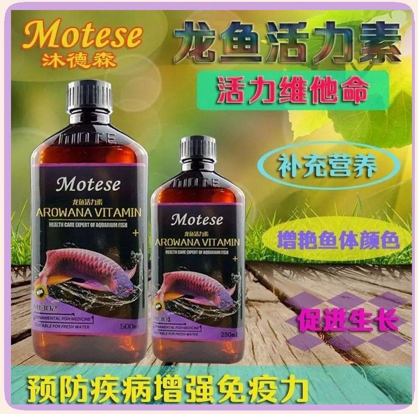 龍魚臥缸能自愈嗎？（龍魚為何“臥床不起”揭秘趴缸真相與解救秘籍莫莫塔羅） 龍魚臥缸能自愈嗎？（龍魚為何“臥床不起”揭秘趴缸真相與解救秘籍莫莫塔羅） 龍魚百科 第4張