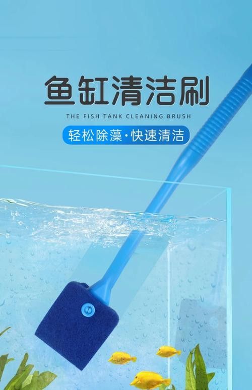 金龍魚魚缸需要定期清洗嗎？（佩特汪魚缸濾材清洗頻率大揭秘多久洗一次最合適）