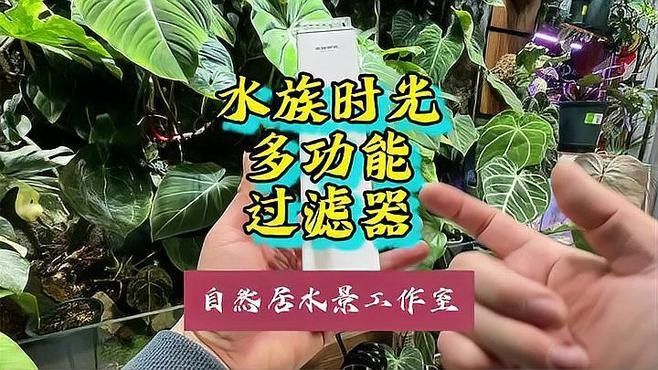 推薦幾款適合混養魚缸的過濾器