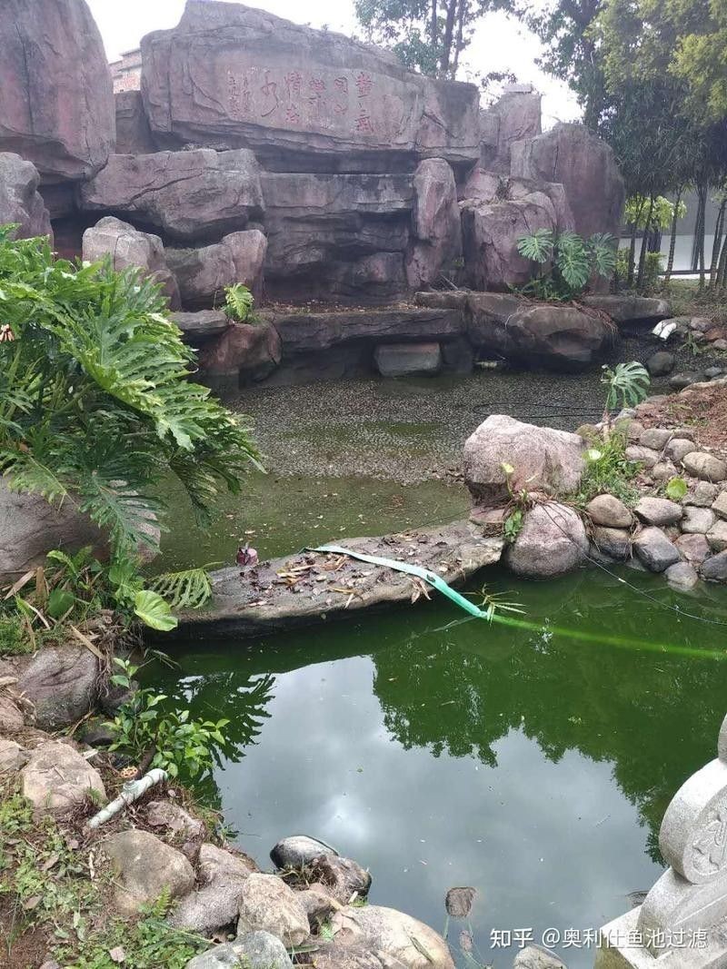 龍魚缸底材多久清洗一次