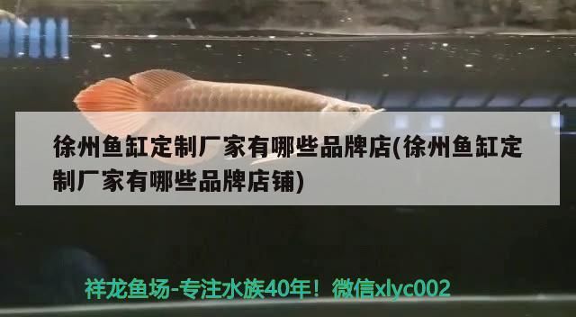 水族器材 徐州魚缸定制廠家有哪些品牌店(徐州魚缸定制廠家有哪些品牌店鋪)(徐州魚缸定制廠家有哪些品牌店) 觀賞魚百科 徐州魚缸定制廠家有哪些品牌店(徐州魚缸定制廠家有哪些品牌店鋪)(徐州魚缸定制廠家有哪些品牌店) 徐州魚缸定制廠家有哪些品牌店(徐州魚缸定制廠家有哪些品牌店鋪)(徐州魚缸定制廠家有哪些品牌店) 觀賞魚百科