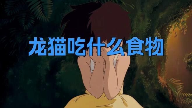 龍貓吃蔬菜需要煮熟嗎？（龍貓吃什么食物捷報漲分攻略龍貓吃什么食物漲分攻略）