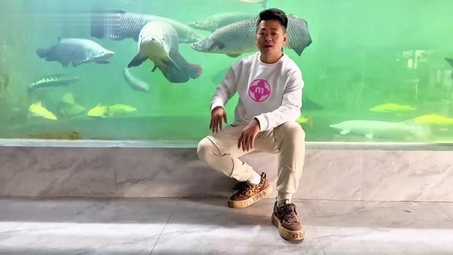 帝王三間魚，祥龍魚場